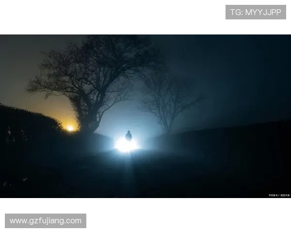 7个绝不敢告诉你结局的真相，看完《迷雾》再也不敢一个人睡觉